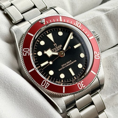 Tudor Black Bay