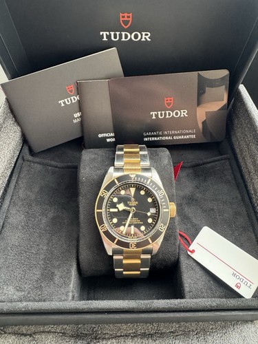 Tudor Black Bay S&G